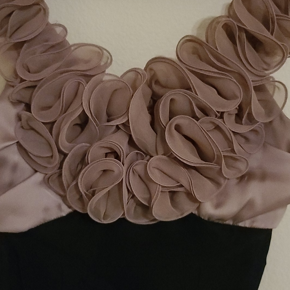 Have & Have Dress Ruffle Mini Dress - Picture 3 of 5